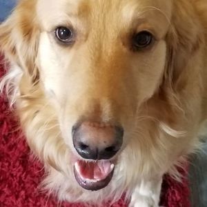 Meet your Posher, Debi